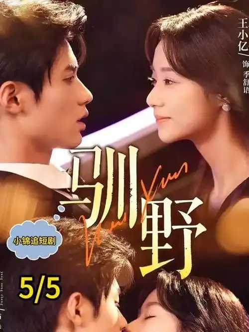 归途1998 热播电视剧全集免费在线观看
